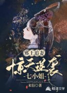邪王追妻：惊天逆袭七小姐