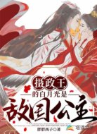 摄政王的白月光是敌国公主