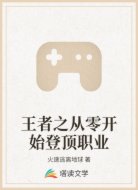 王者之从零开始登顶职业