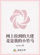 网上捡到的大佬竟是我的小竹马