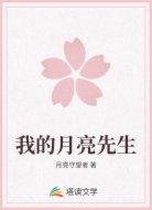 我的月亮先生