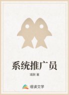 系统推广员