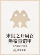 末世之开局召唤帝皇铠甲