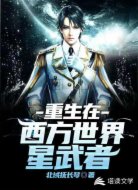 重生在西方世界星武者