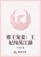 邪王宠妻:王妃闯荡江湖