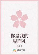 你是我的见面礼