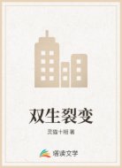 双生裂变