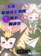 王者:职业选手的我去霸榜巅峰赛