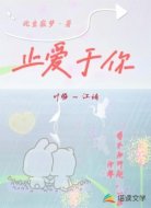 止爱于你
