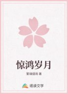 惊鸿岁月