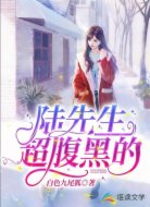 陆先生，超腹黑的！
