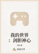 我的世界：剑胆神心