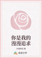 你是我的漫漫追求