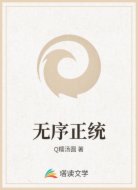 无序正统