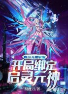 赛尔无限宇宙:开局绑定启灵元神