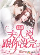 总裁，夫人说跟你没完