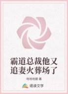 霸道总裁他又追妻火葬场了