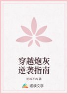 穿越炮灰逆袭指南