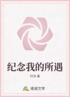 纪念我的所遇