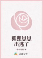 狐狸崽崽出逃了