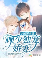 小团团来袭:顾少独宠娇妻