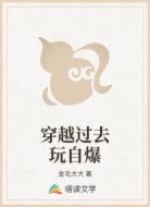 穿越过去玩自爆