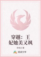 穿越：王妃她美又飒