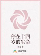 停在十四岁的生命