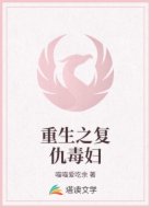 重生之复仇毒妇