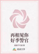 再相见你好季警官