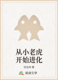 书名
