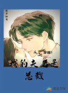 反向穿越！我的夫君是总裁