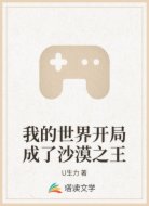 我的世界开局成了沙漠之王