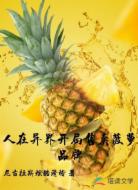 人在异界开局售卖菠萝品牌