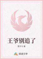王爷别追了