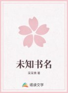 未知书名