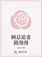 顾总追妻路漫漫