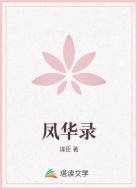 凤华录