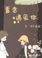 蓄意遇见你