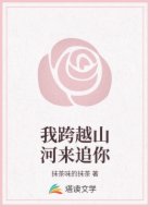 我跨越山河来追你