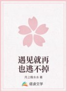 遇见就再也逃不掉