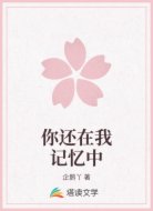 你还在我记忆中