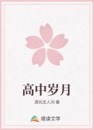 高中岁月