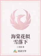 海棠花似雪落下