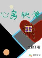心房映像