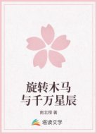 旋转木马与千万星辰