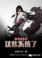 我受够你们这些系统了