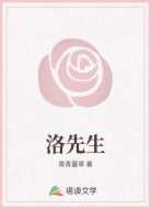 洛先生