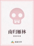 南归雁林