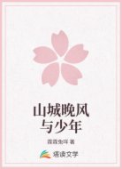 山城晚风与少年
